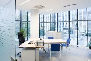 Fensterreinigung